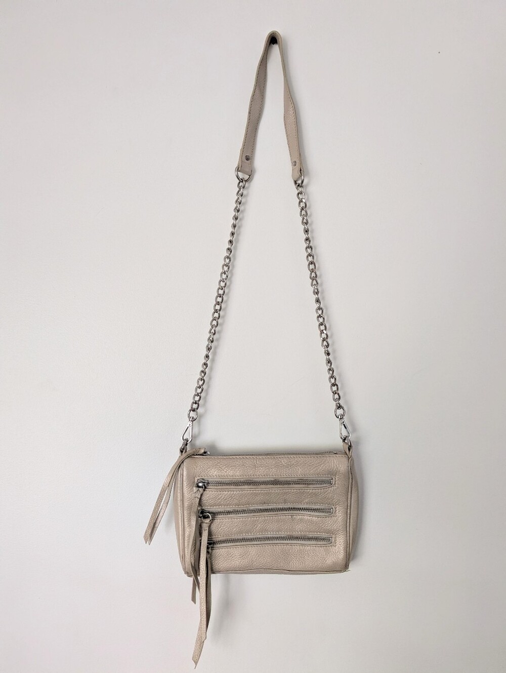 Danier Metallic Leather Crossbody Purse